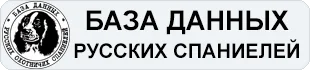 База данных русских охотничьих спаниелей