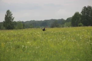 IMG_1065