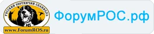 Форум русского охотничьего спаниеля