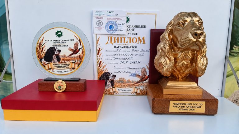 Диплом и награды чемпиона НКП РОС