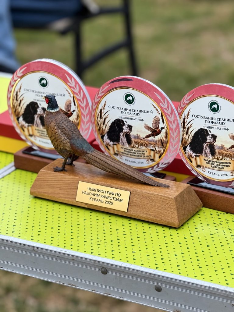 Призы чемпионата РКФ