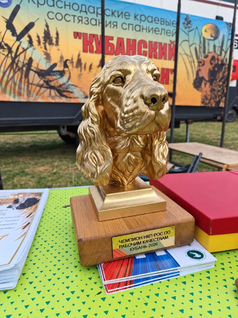 Приз чемпиона НКП РОС